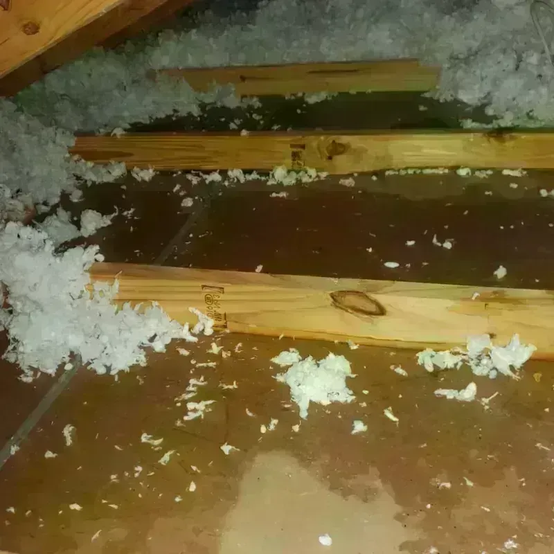 Attic Water Damage in Victoria, VA