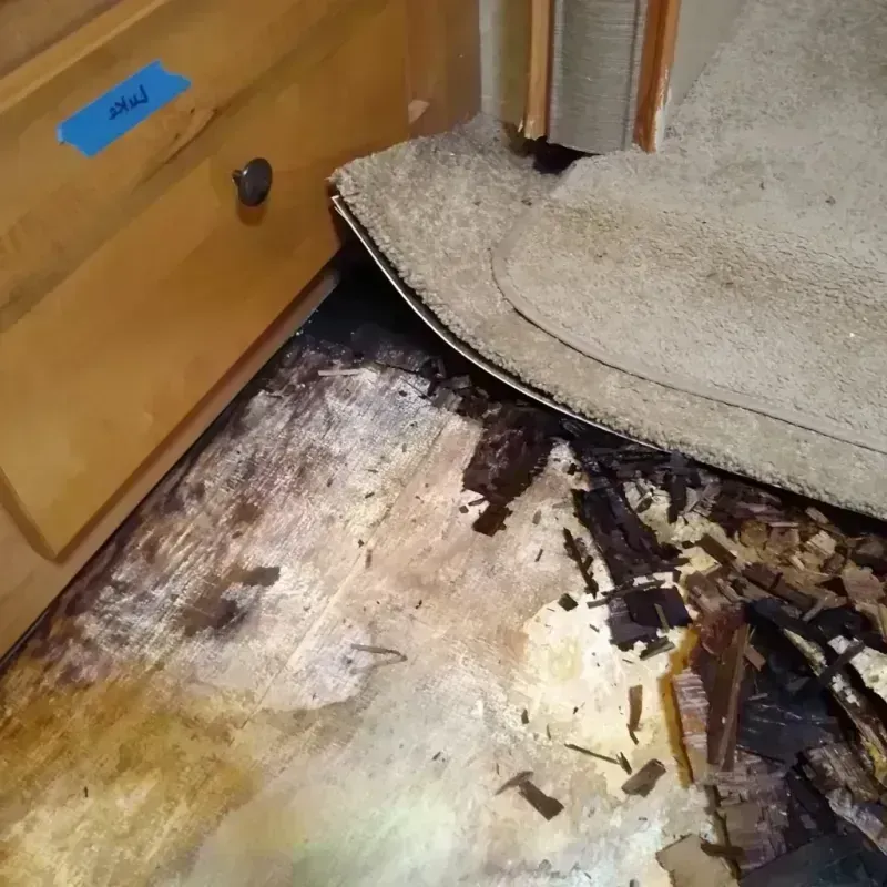 Wood Floor Water Damage in Victoria, VA